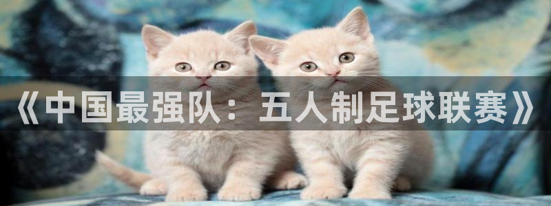 《中国最强队：五人制足球联赛》