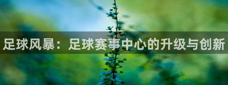  足球风暴：足球赛事中心的升级与创新