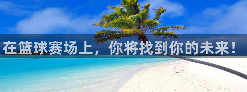 在篮球赛场上，你将找到你的未来！