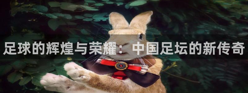 足球的辉煌与荣耀：中国足坛的新传奇