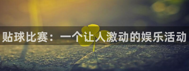 贴球比赛：一个让人激动的娱乐活动