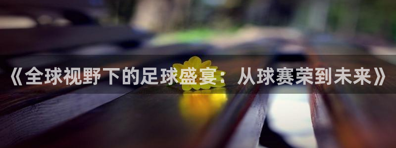  米兰体育欧洲杯：《全球视野下的足球盛宴：从球赛荣到未来》