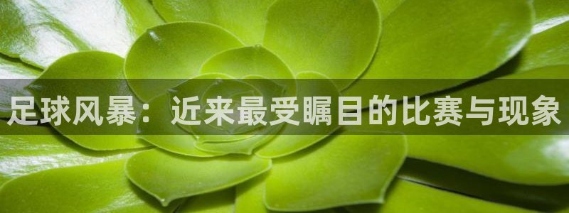  米兰体育拉斯帕尔马斯：足球风暴：近来最受瞩目的比赛与现象