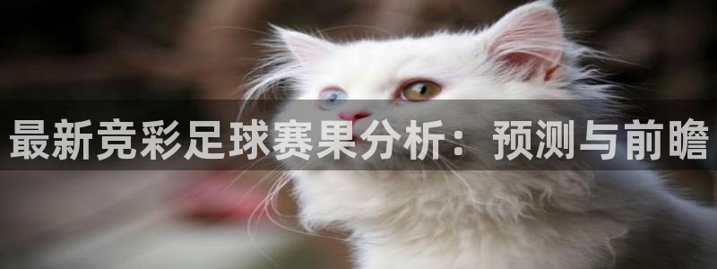 米兰体育俱乐部：最新竞彩足球赛果分析：预测与前瞻