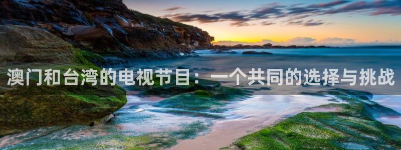 9255tv直播nba在线观看：澳门和台湾的电视节目：一个共同的选择与挑战