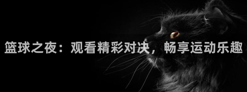 9255tv直播nba在线直播：篮球之夜：观看精彩对决，畅享运动乐趣