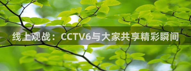 9255tv直播nba在线观看：线上观战：CCTV6与大家共享精彩瞬间