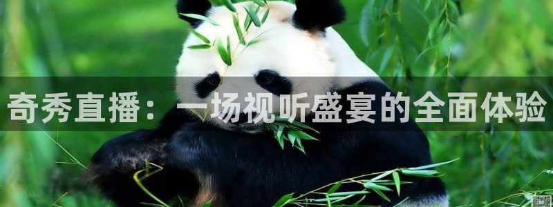 9255tv直播无插件nba：奇秀直播：一场视听盛宴的全面体验