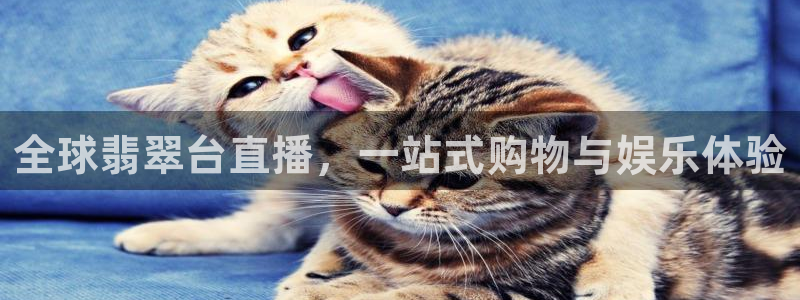 9255tv直播nba在线观看：全球翡翠台直播，一站式购物与娱乐体验