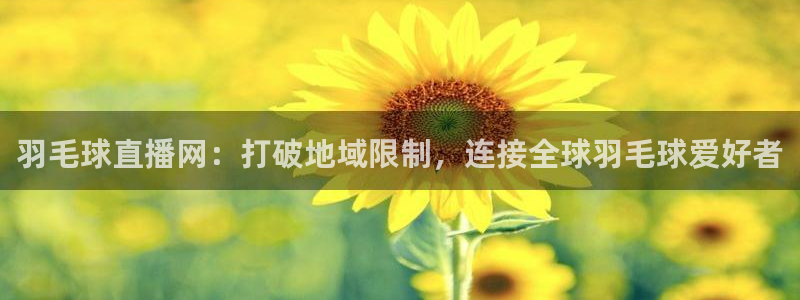 9255tv直播nba在线观看：羽毛球直播网：打破地域限制，连接全球羽毛球爱好者