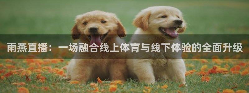 9255tv直播无插件nba：雨燕直播：一场融合线上体育与线下体验的全面升级