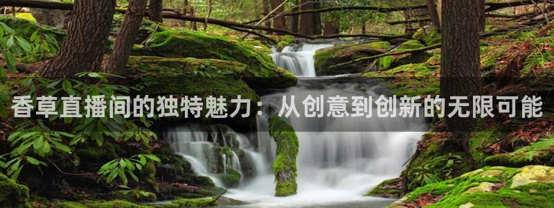9255tv直播nba在线直播：香草直播间的独特魅力：从创意到创新的无限可能