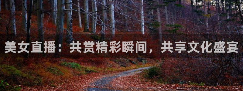 9255tv直播nba在线直播：美女直播：共赏精彩瞬间，共享文化盛宴