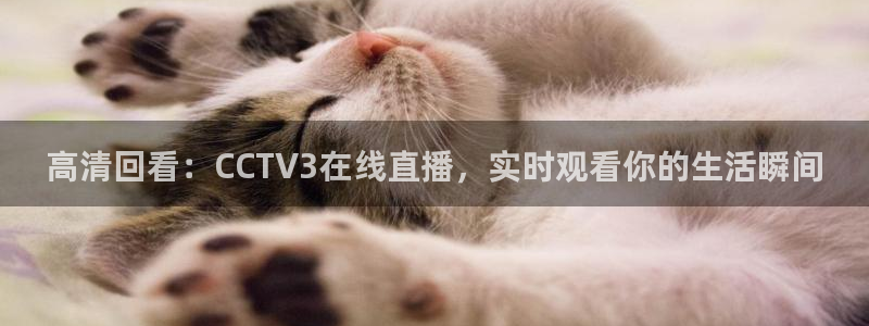 9255tv直播nba在线观看：高清回看：CCTV3在线直播，实时观看你的生活瞬间