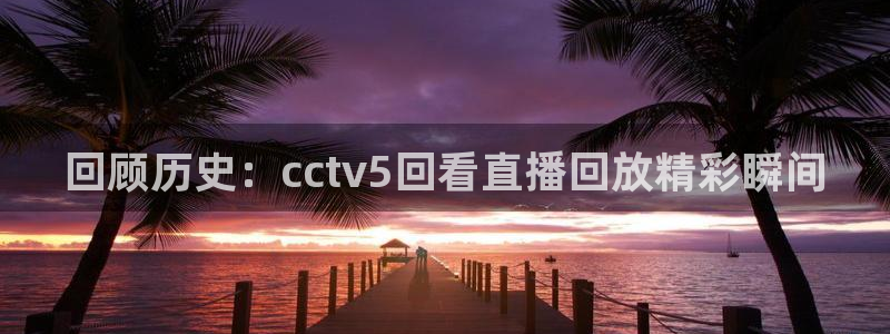 9255tv直播无插件nba：回顾历史：cctv5回看直播回放精彩瞬间