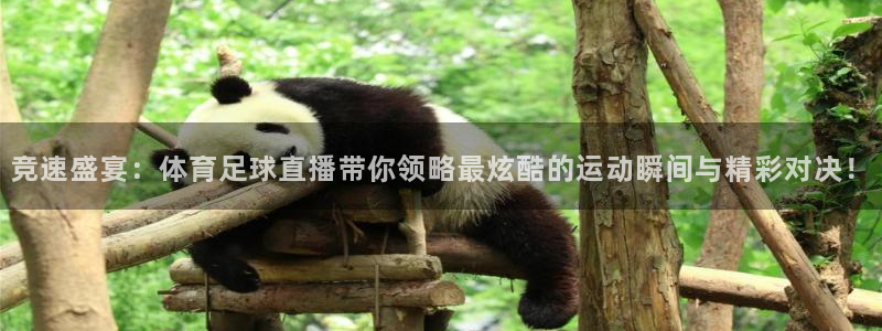 9255tv直播nba在线观看：竞速盛宴：体育足球直播带你领略最炫酷的运动瞬间与精彩对决！