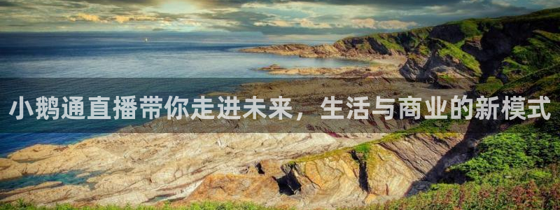9255tv直播nba在线观看：小鹅通直播带你走进未来，生活与商业的新模式