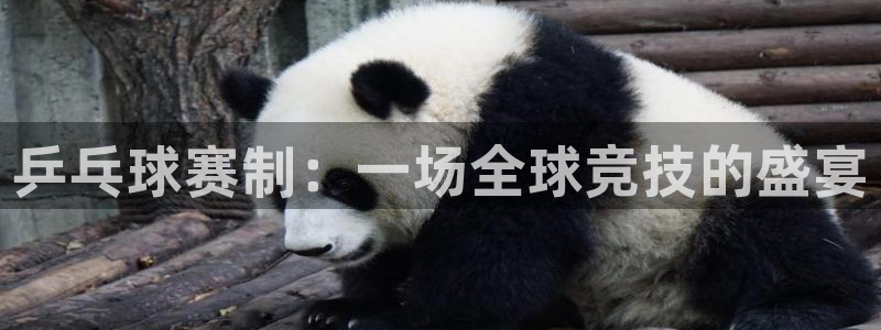 米兰体育场：乒乓球赛制：一场全球竞技的盛宴