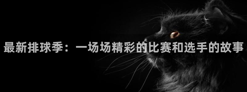 米兰体育集团是国企吗：最新排球季：一场场精彩的比赛和选手的故